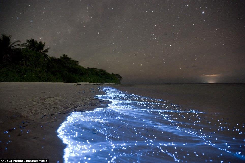 The Sea of Stars (Vaadhoo Island, Maldives)