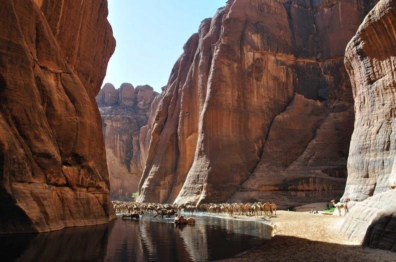 Guelta d’Archei (Ennedi Plateau, Chad)