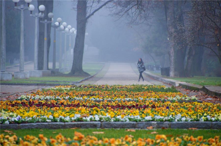 Student walk in Maribor park