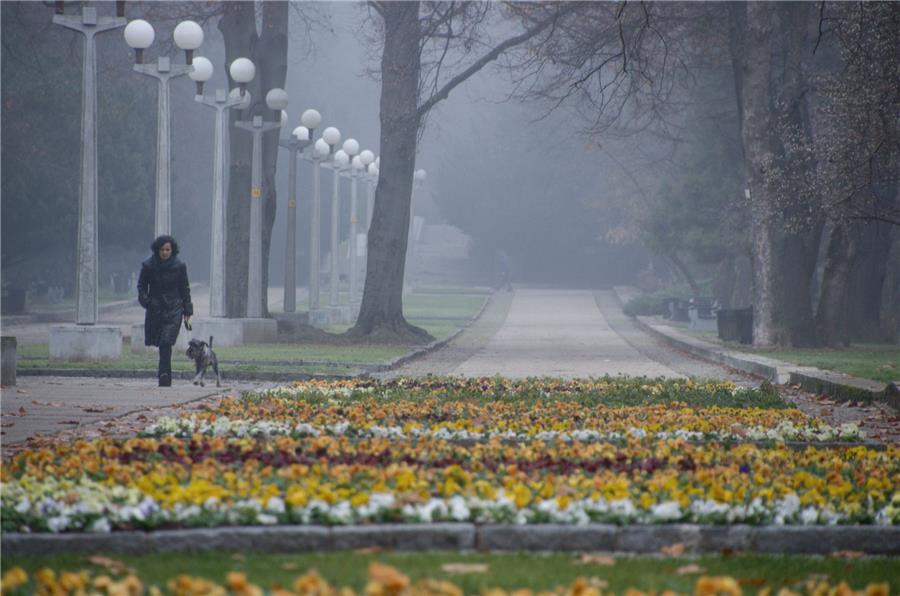 Woman walk in Maribor park