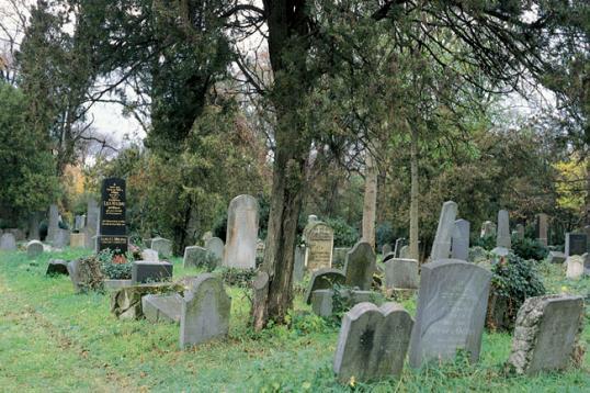 Vienna Central Cemetery