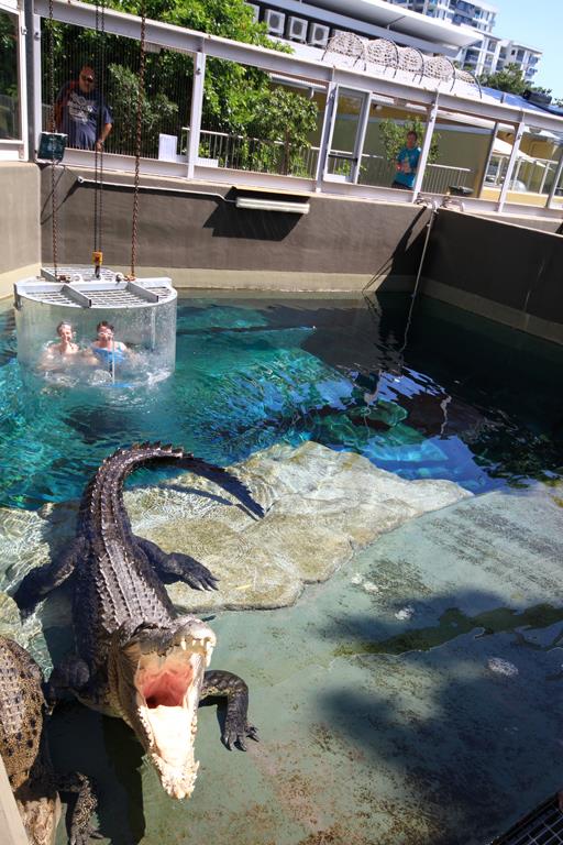 The Cage Of Death in Crocosaurus Cove (Darwin, Australia)