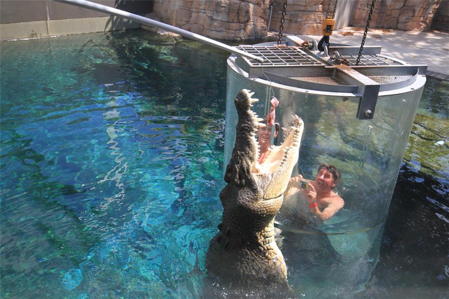 The Cage Of Death in Crocosaurus Cove (Darwin, Australia)