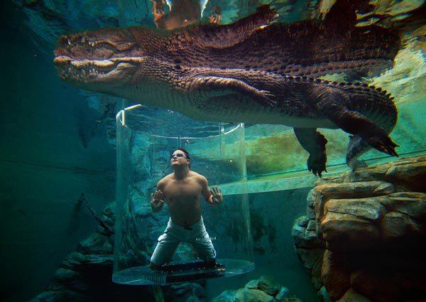 The Cage Of Death in Crocosaurus Cove (Darwin, Australia)