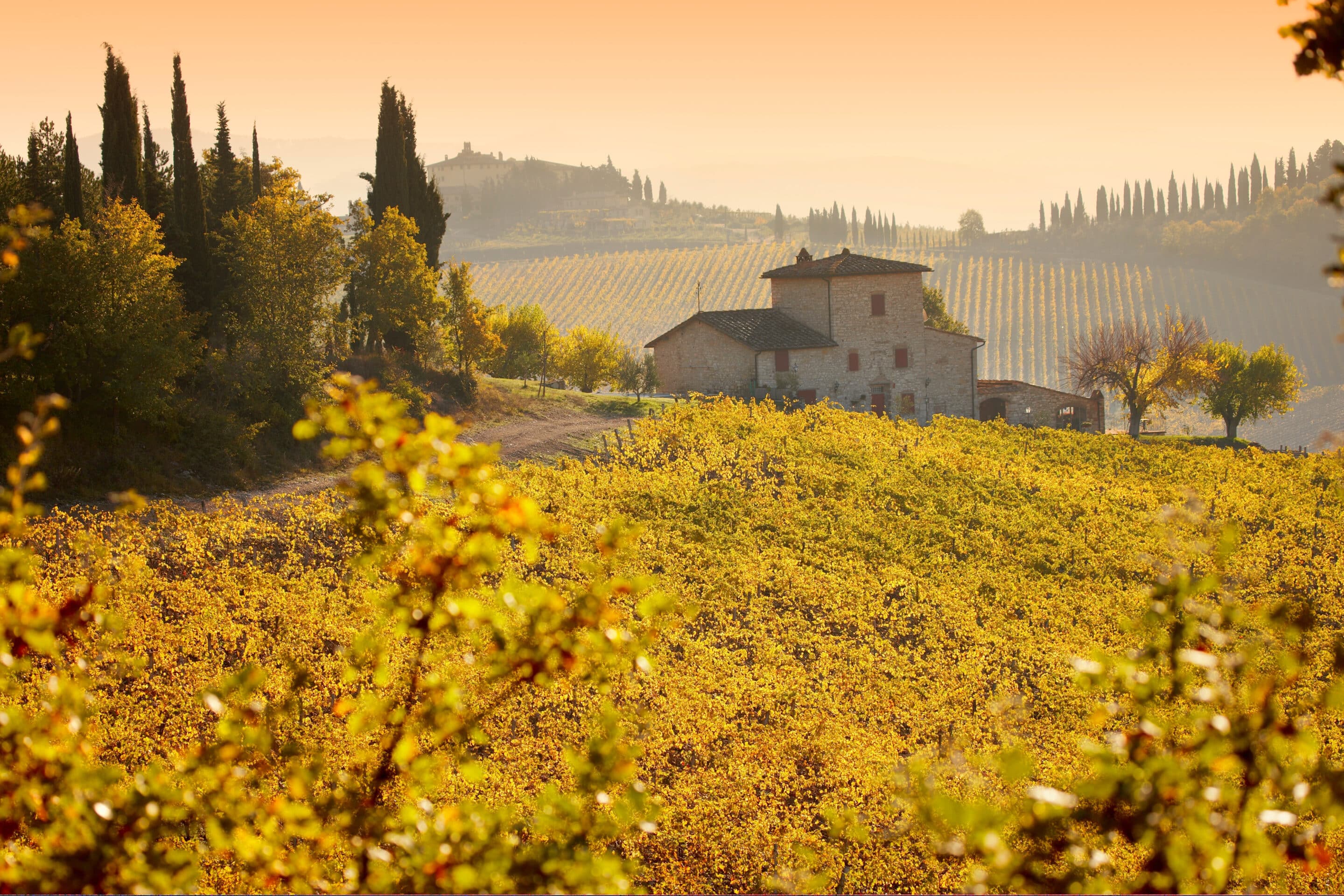 Golden yellow Chianti vineyards and a stone farmhouse on rolling hills under a warm autumn sky in Tuscany.